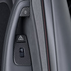 Dry Carbon Fiber Window Lift Button Trim & Switch Covers for Tesla Model Y L