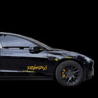 Reflective Robotaxi Decal | Tesla Body & Window Waterproof PVC Sticker
