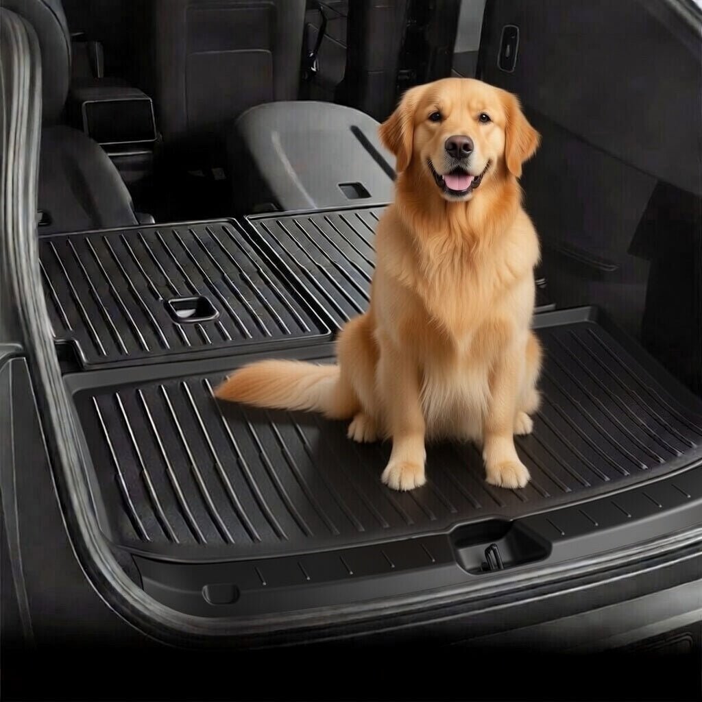 All Weather TPE Trunk Mats for Model YL 6-Seater