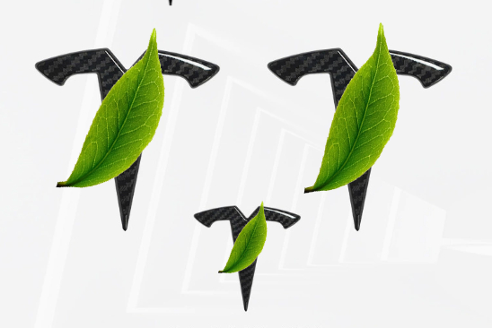 Bright Carbon Fiber Emblem Cover Sticker for Tesla Model 3 (2017-2023) / Y (2020-2024) 3-Piece Kit