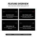 Dashboard RGB Lights with Integrated BSD System for Model 3/Y