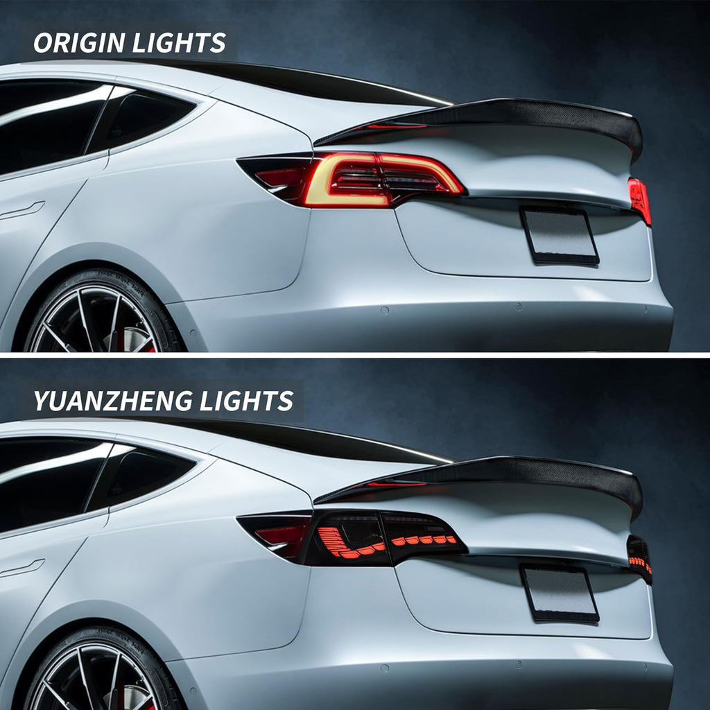 Dragon Scale Tail Lights for Model 3/Y