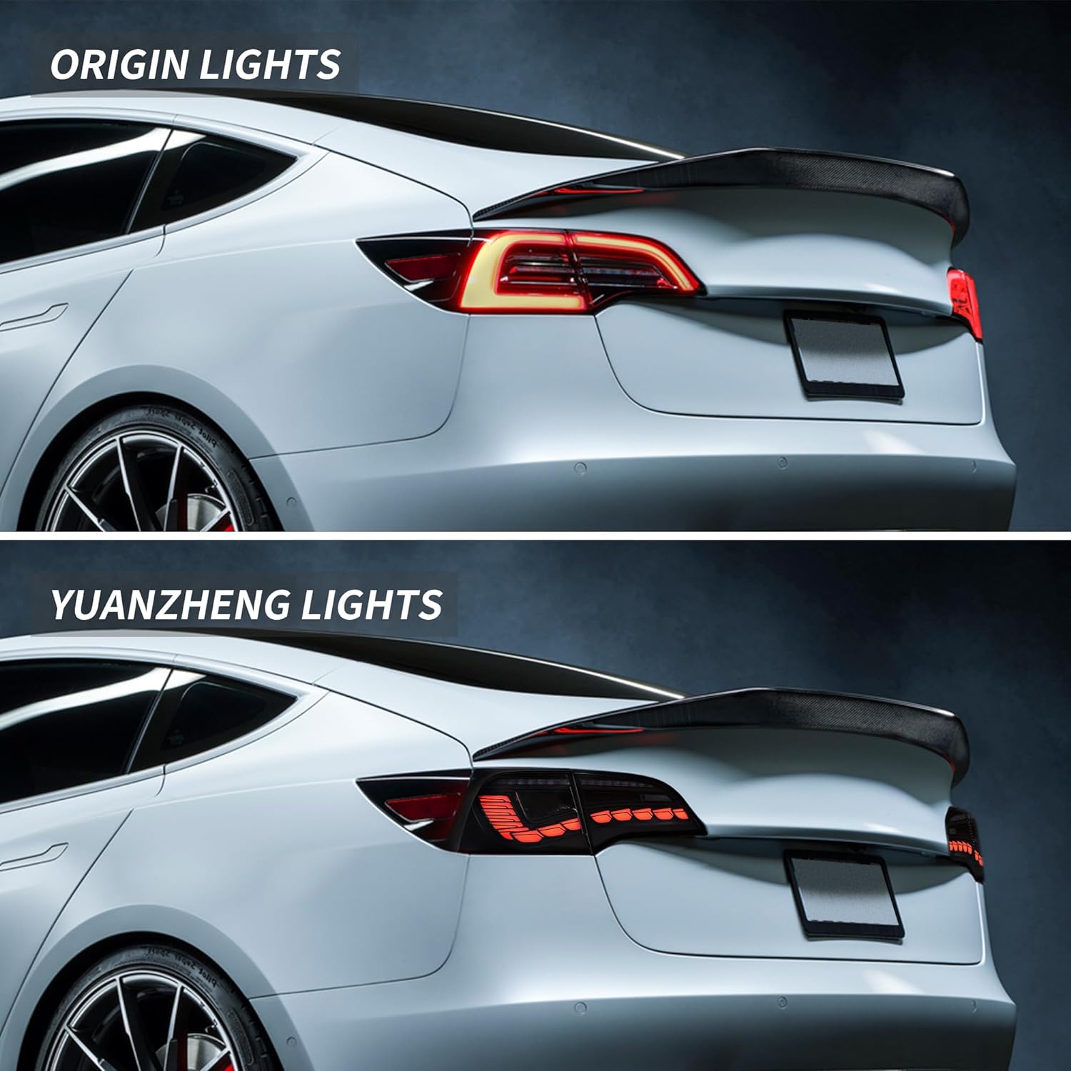 Dragon Scale Tail Lights for Model 3/Y