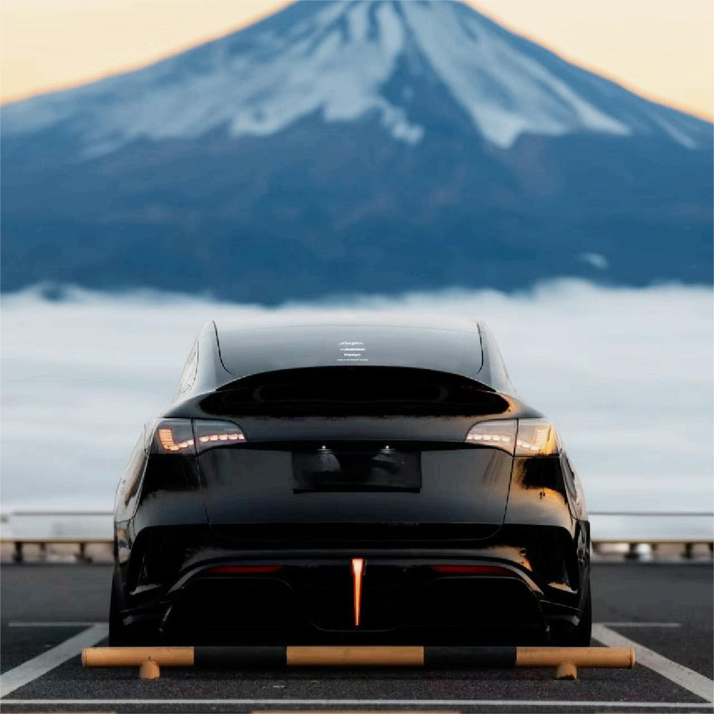 Dragon Scale Tail Lights for Model 3/Y