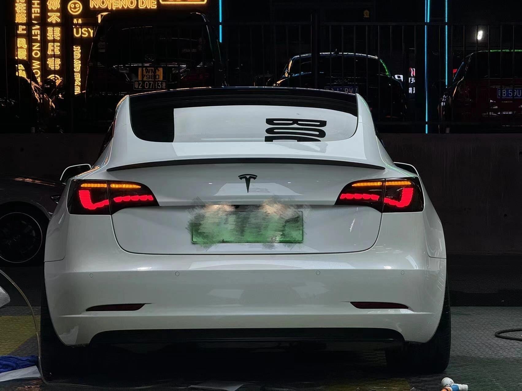 Dragon Scale Tail Lights for Model 3/Y
