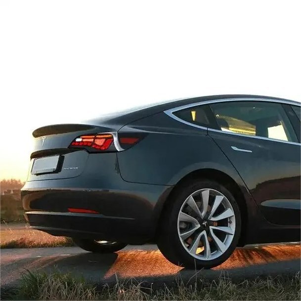 Dragon Scale Tail Lights for Model 3/Y