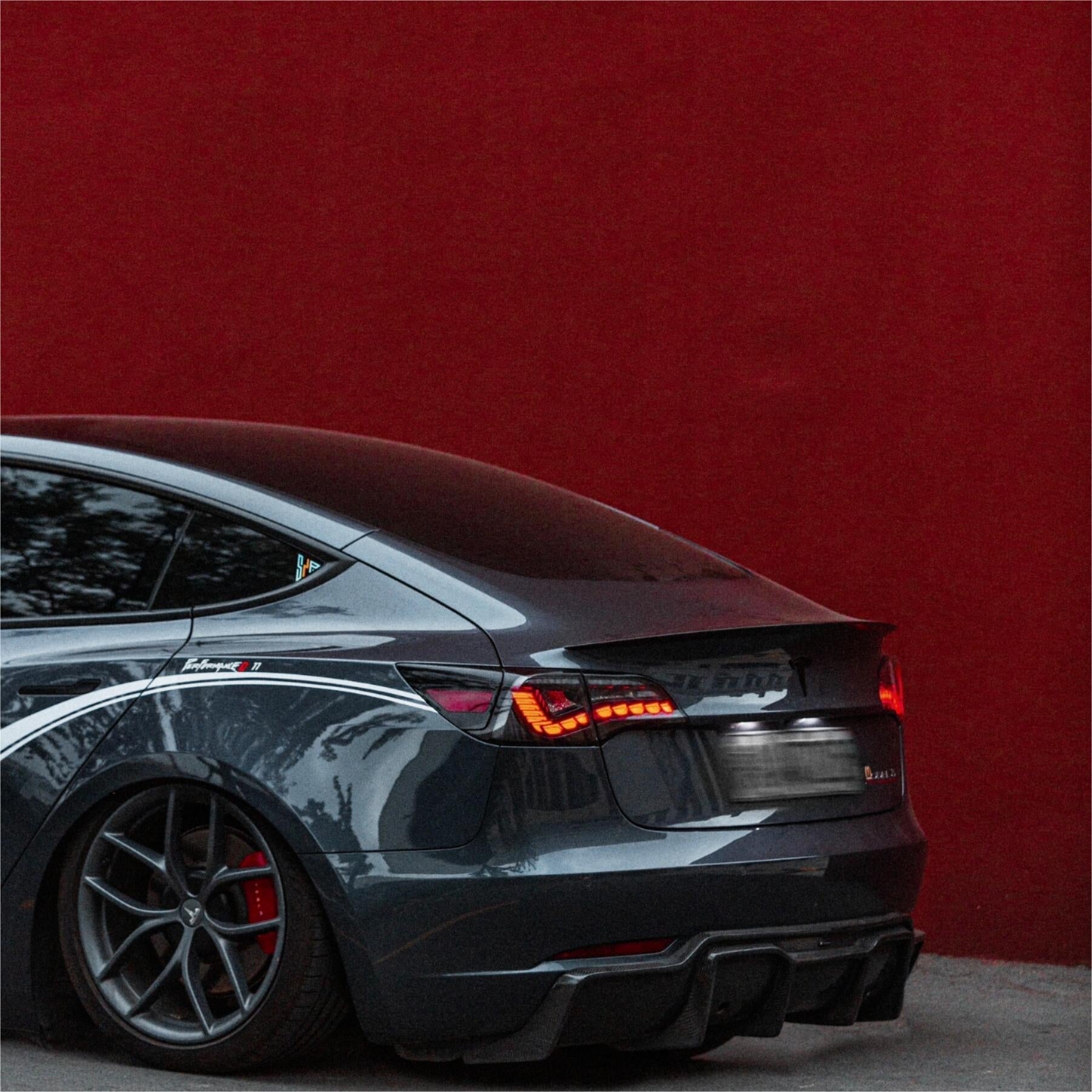 Dragon Scale Tail Lights for Model 3/Y