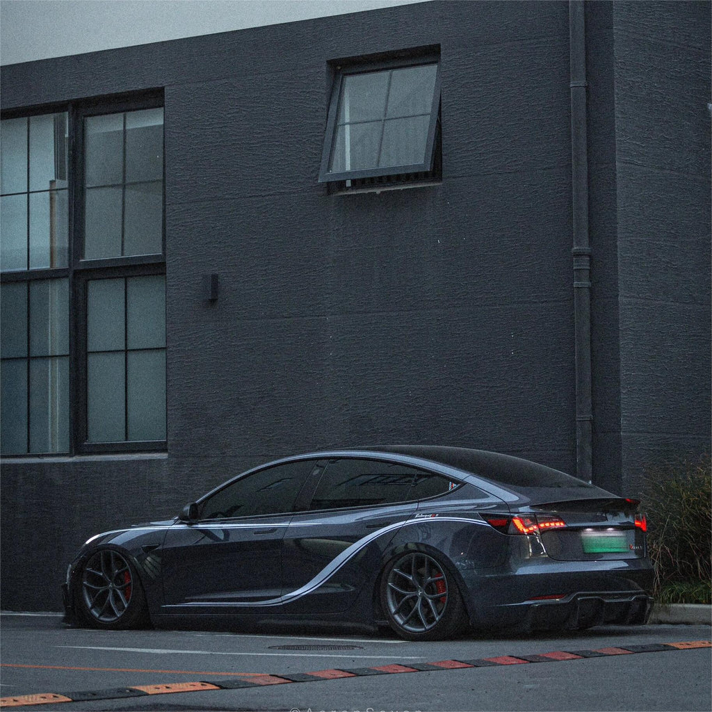 Dragon Scale Tail Lights for Model 3/Y