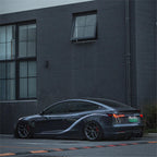 Dragon Scale Tail Lights for Model 3/Y