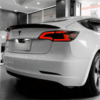 Eagle Eye Taillight Upgrade for Model 3/Y
