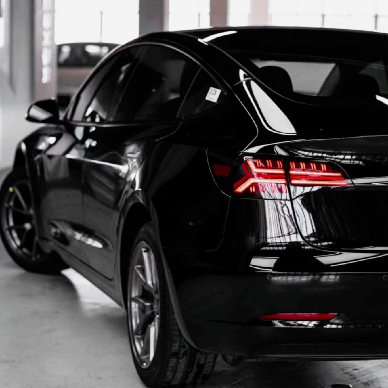 Fish Bone Tail Light for Model 3/Y