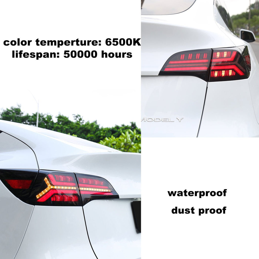 Fish Bone Tail Light for Model 3/Y