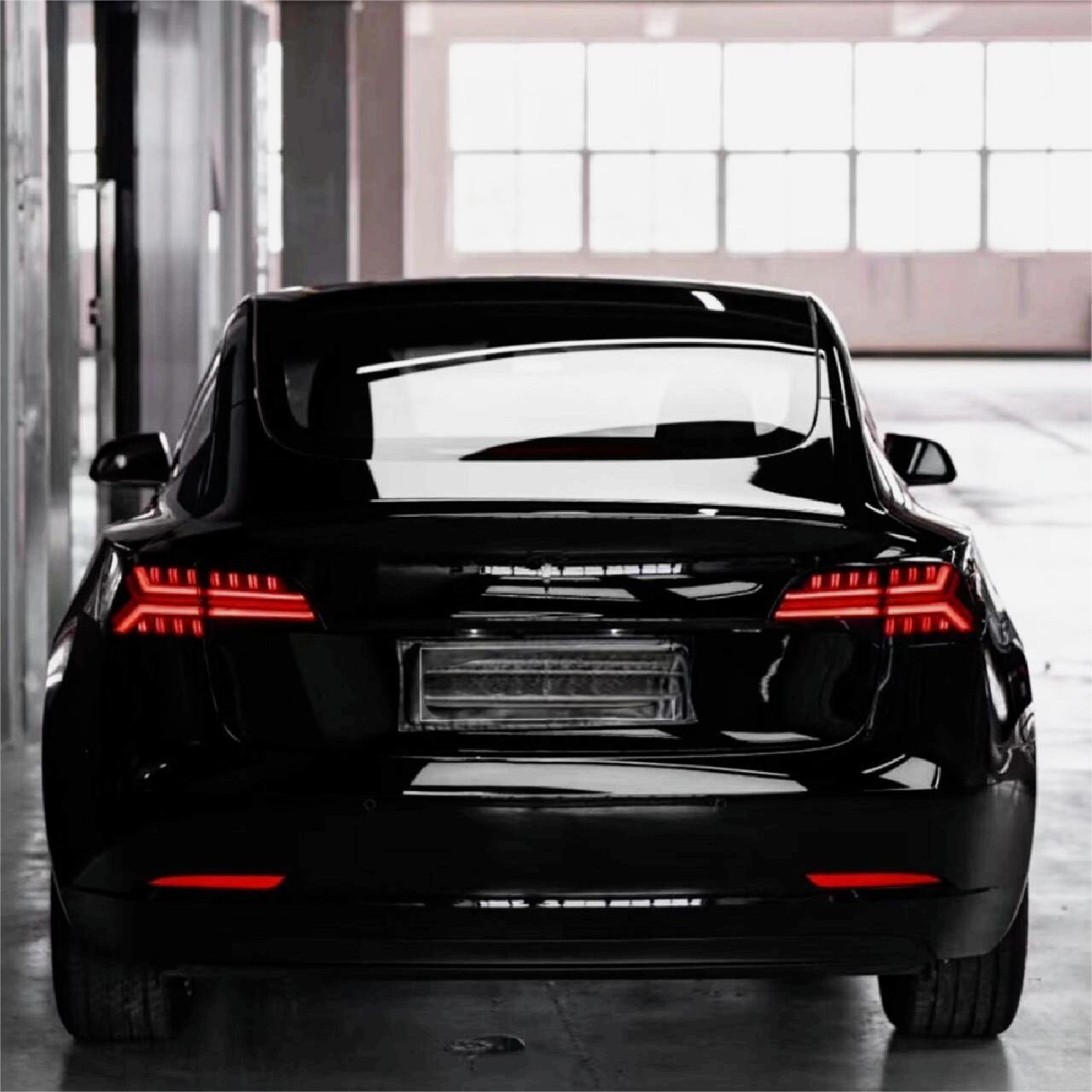 Fish Bone Tail Light for Model 3/Y