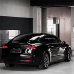 Fish Bone Tail Light for Model 3/Y