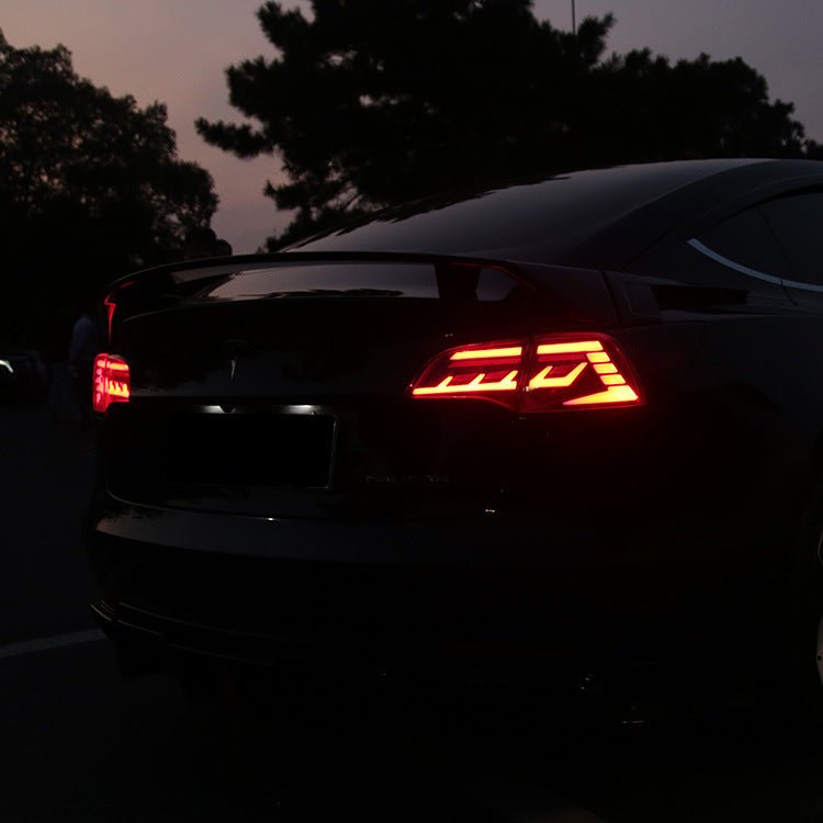 Full LED Tail Light for Tesla Model 3/Y