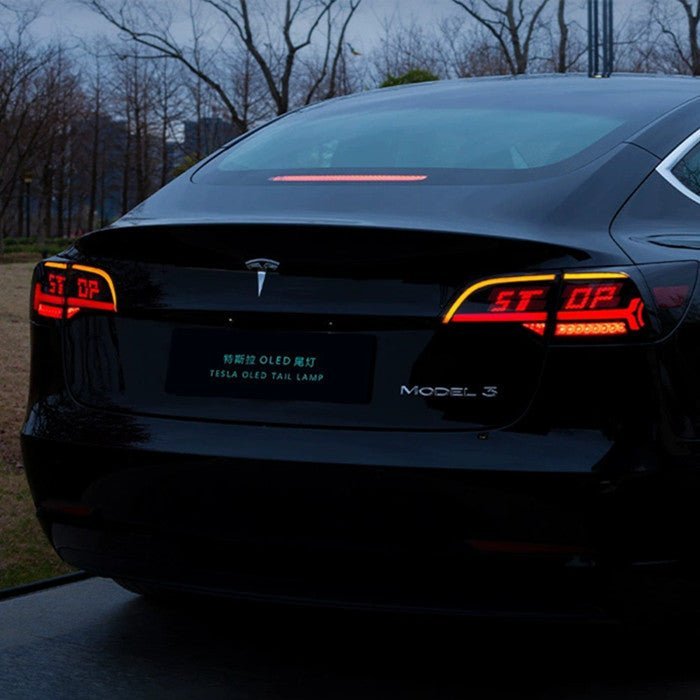 OLED APP-Controlled Tail Light for Model 3/Y