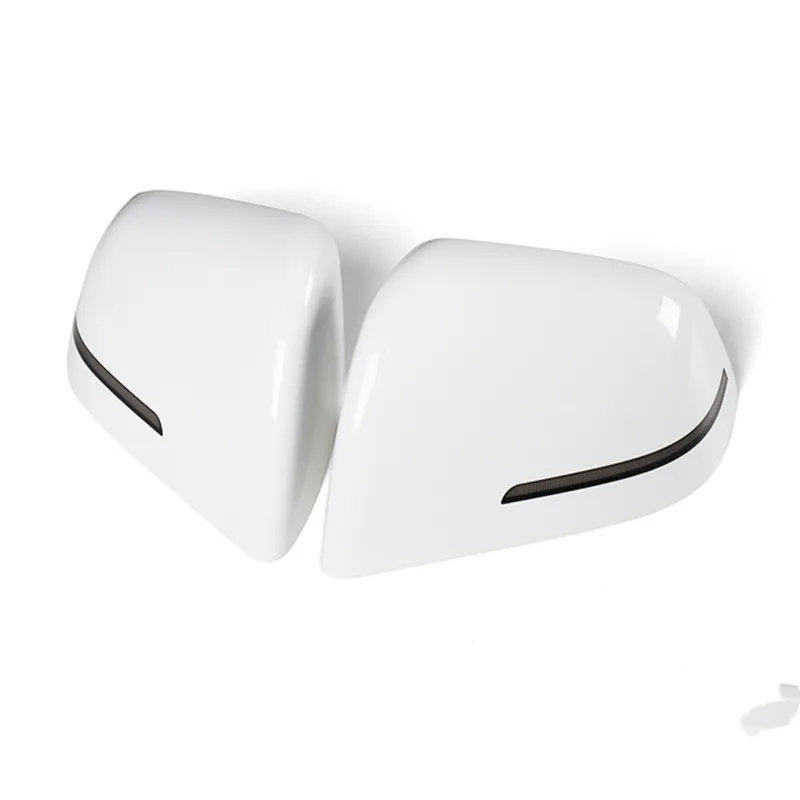 Side View Mirror Cover