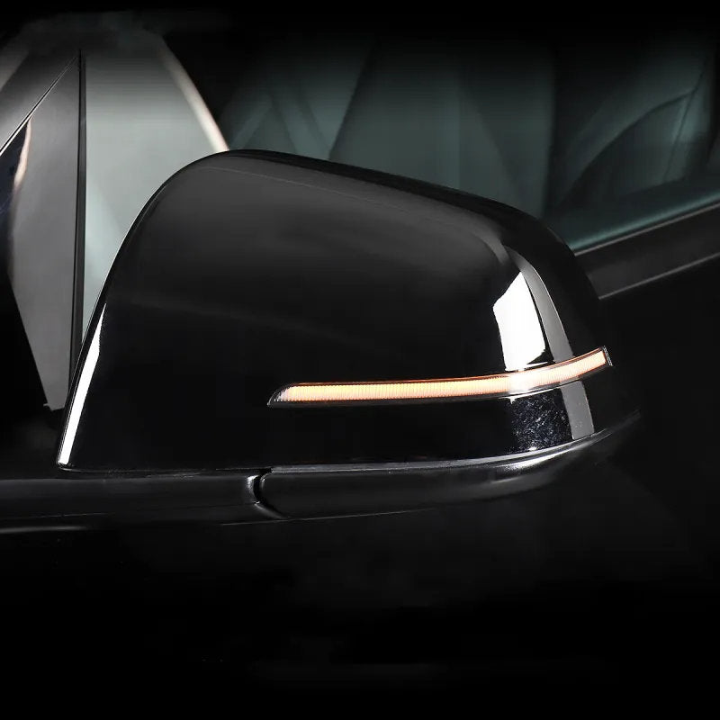 Side View Mirror Cover