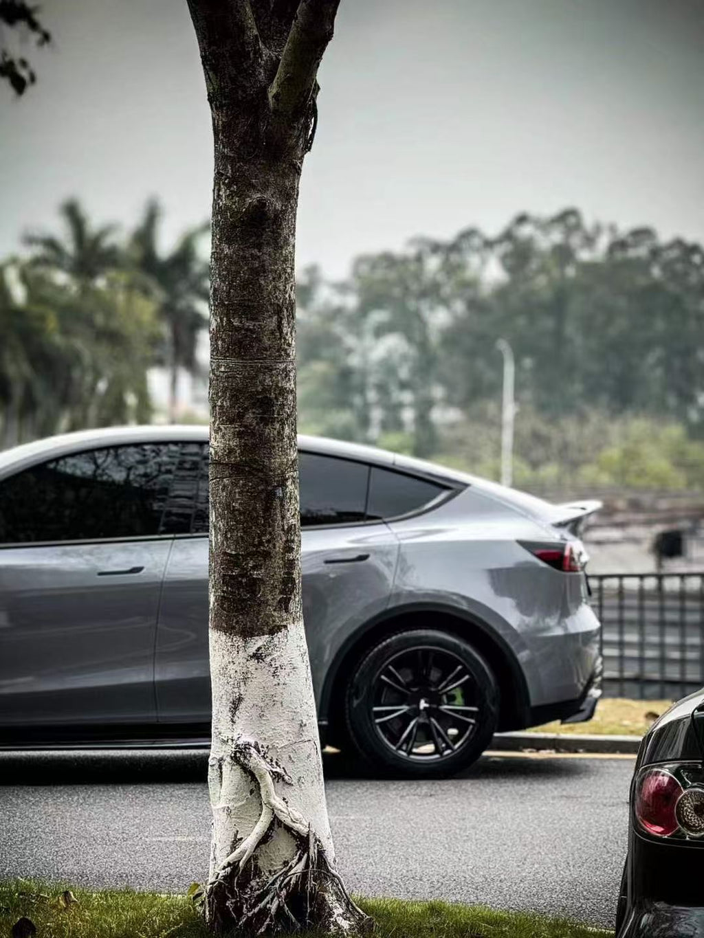 TESKAY Full Body Aero Kit for Tesla Model Y 2021-2024-Teskay