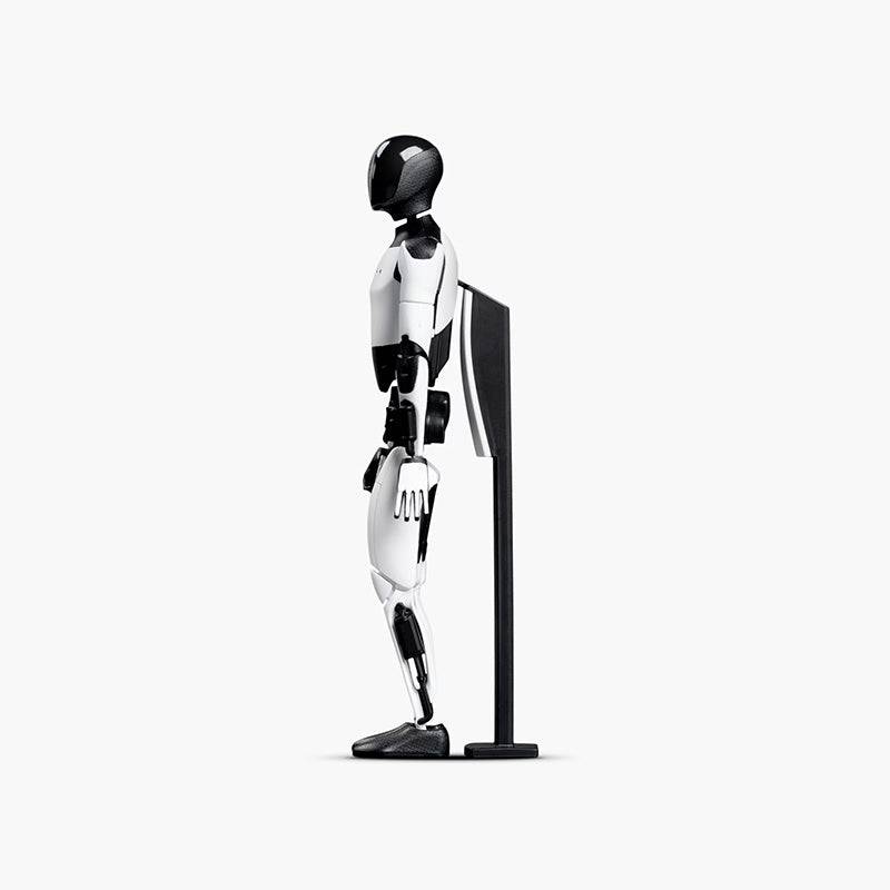 Tesla Life Bot Ornamental Humanoid Doll Robot - teskay