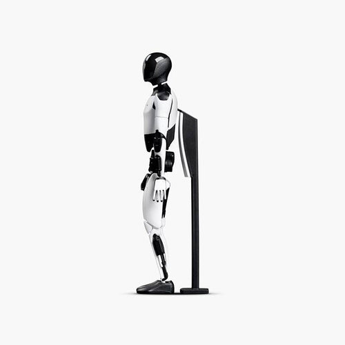 Tesla Life Bot Ornamental Humanoid Doll Robot - teskay
