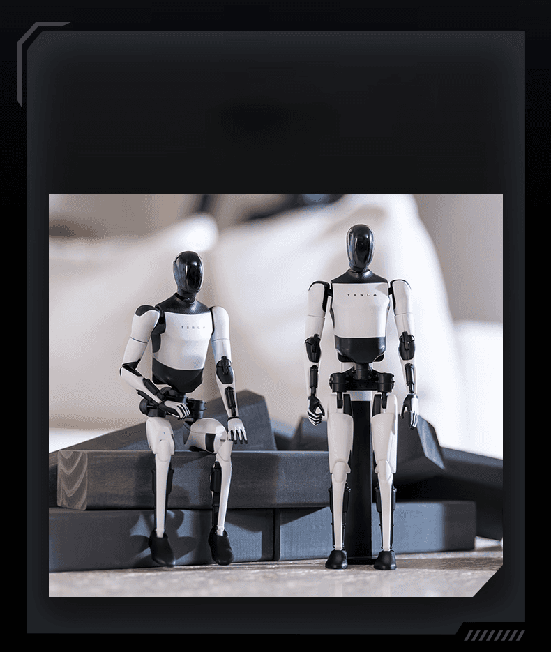 Tesla Life Bot Ornamental Humanoid Doll Robot - teskay