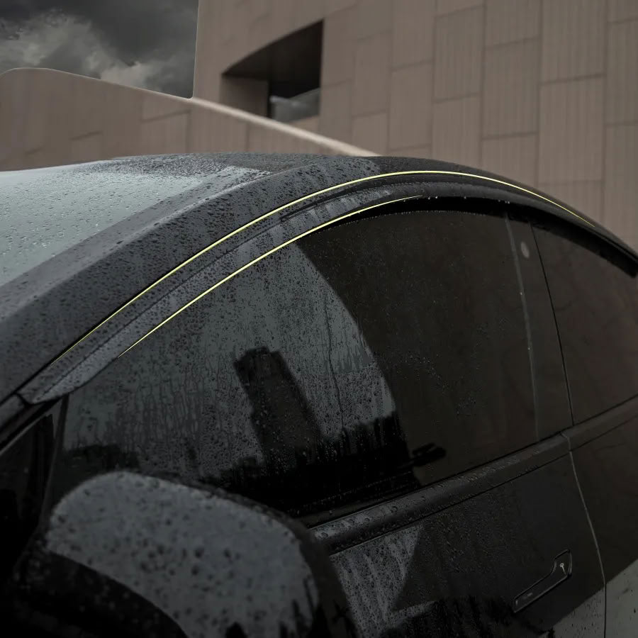Window Rain Cover 4pcs for Tesla Model 3/Y