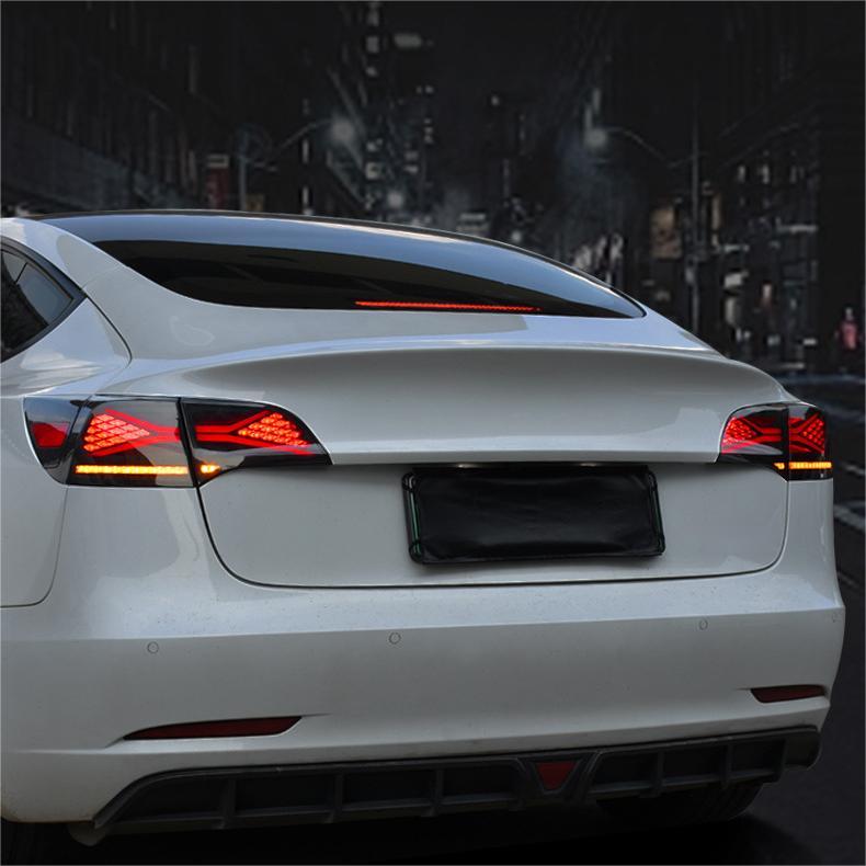 X-treme Tail Light for Model 3/Y
