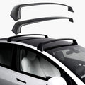 Roof Rack for Tesla Model 3/Y