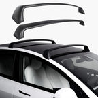 Tesla Model 3/Y Roof Rack