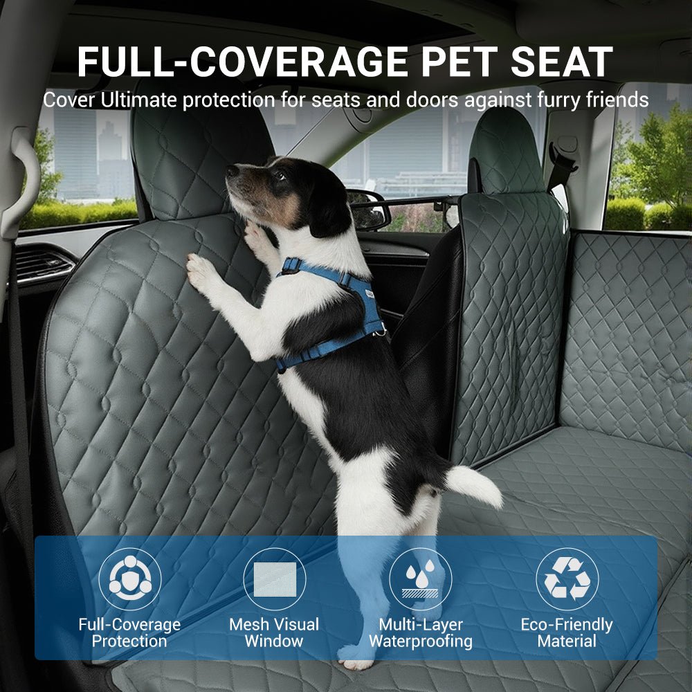 Tesla Pet Accessories | Travel & Daily Use | TESKAY – Teskay
