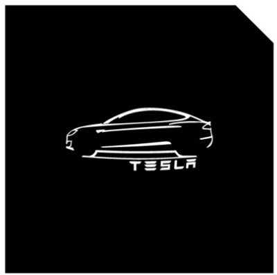LED Logo Tesla Puddle Lights for Model 3 / Y / S / X