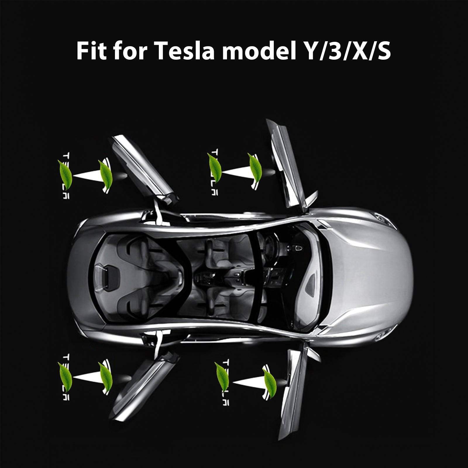 LED Logo Tesla Puddle Lights for Model 3 / Y / S / X