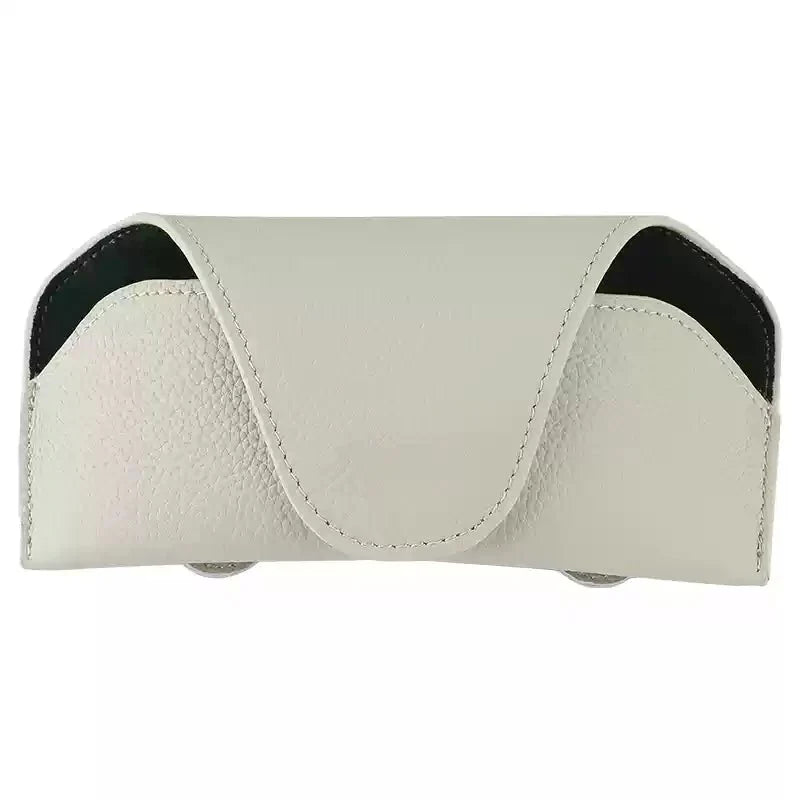 Premium Visor Glasses Case for Tesla - Teskay