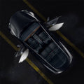 Angel Wings Door Welcome Lights for Model 3/Y/S/X Angel Wings 2 PCS