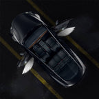 Angel Wings Door Welcome Lights for Model 3/Y/S/X Angel Wings 2 PCS