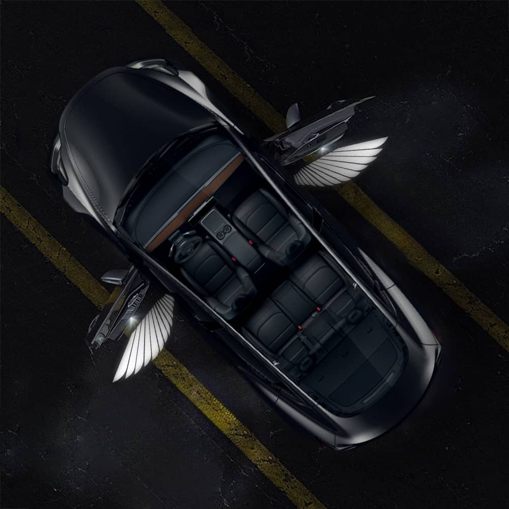 Angel Wings Door Welcome Lights for Model 3/Y/S/X Angel Wings 2 PCS