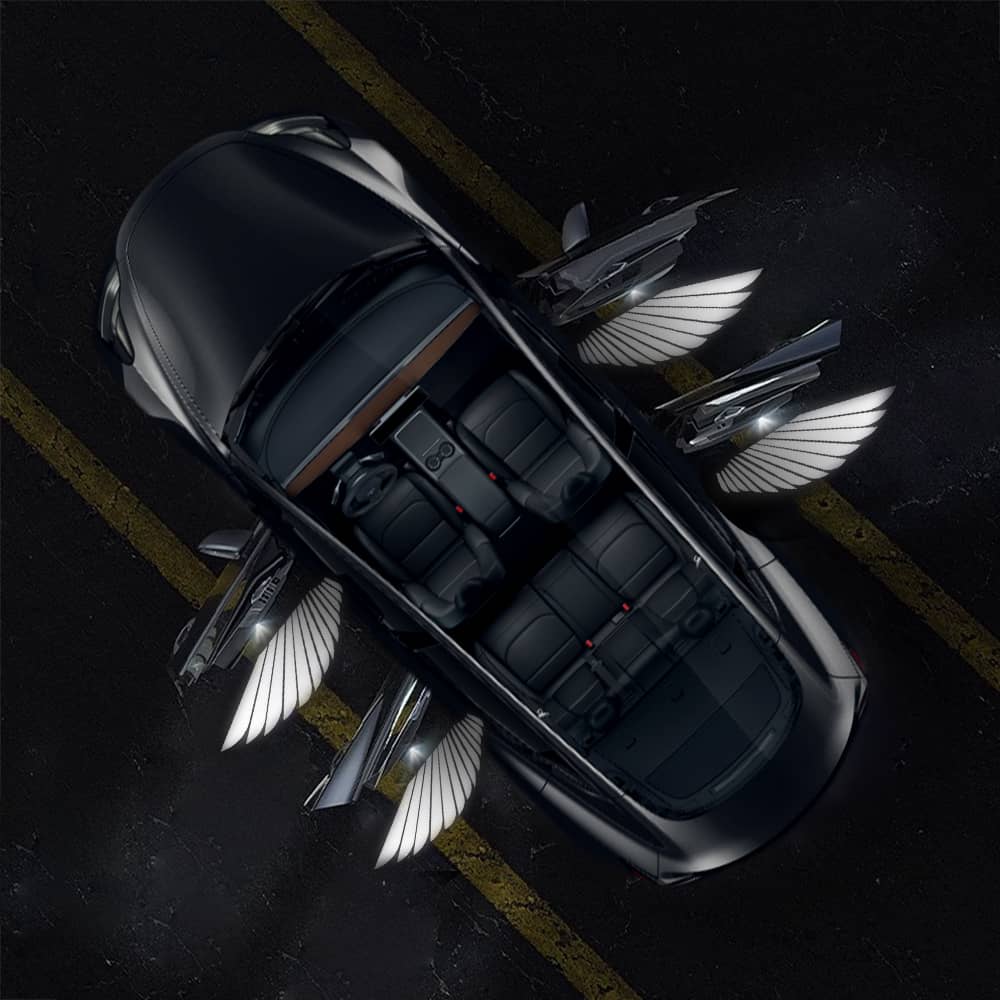 Angel Wings Door Welcome Lights for Model 3/Y/S/X Angel Wings 4 PCS