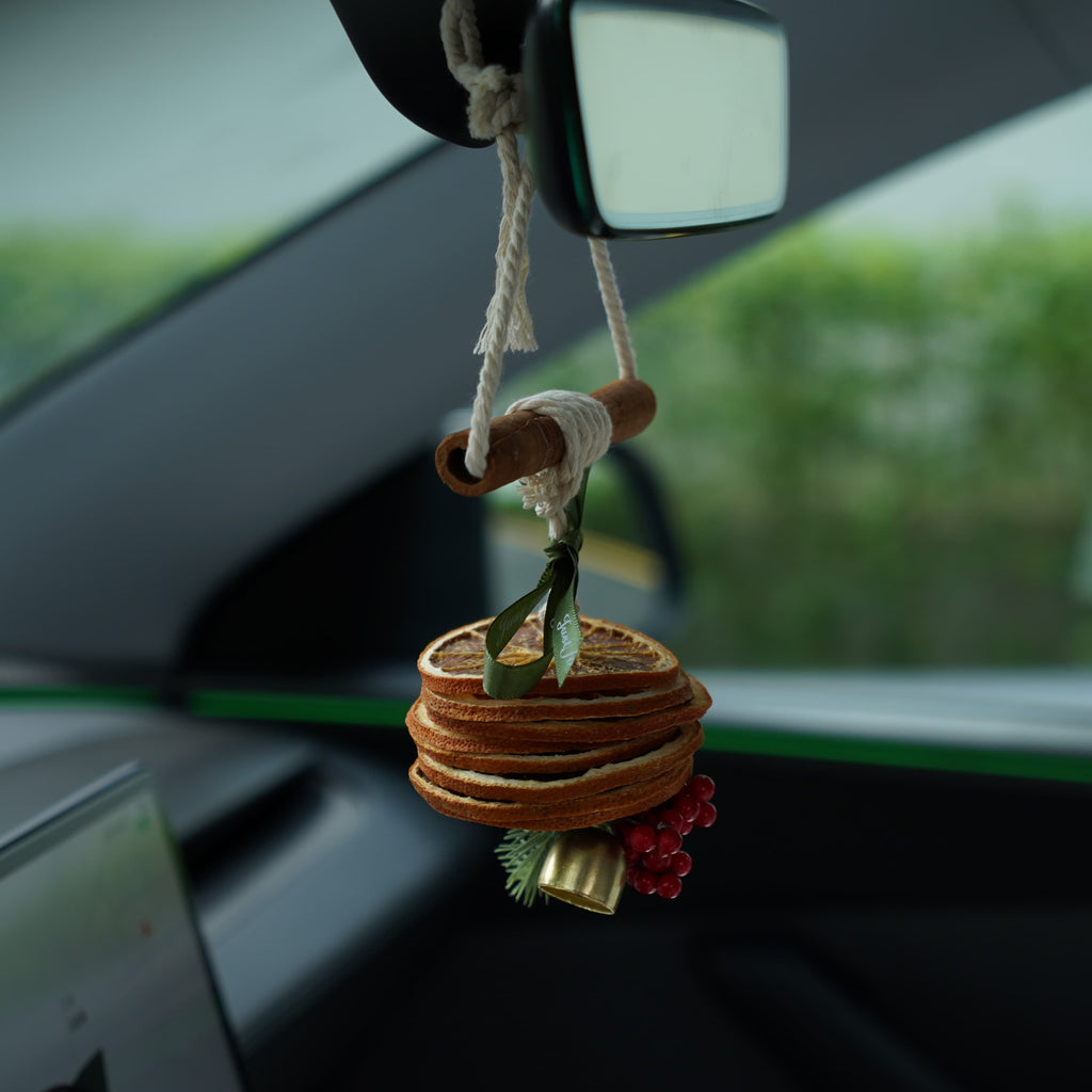 Orange Scent Christmas Ornament for Tesla - Teskay