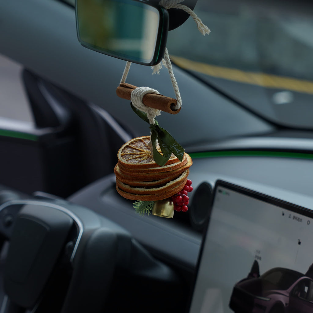 Orange Scent Christmas Ornament for Tesla - Teskay
