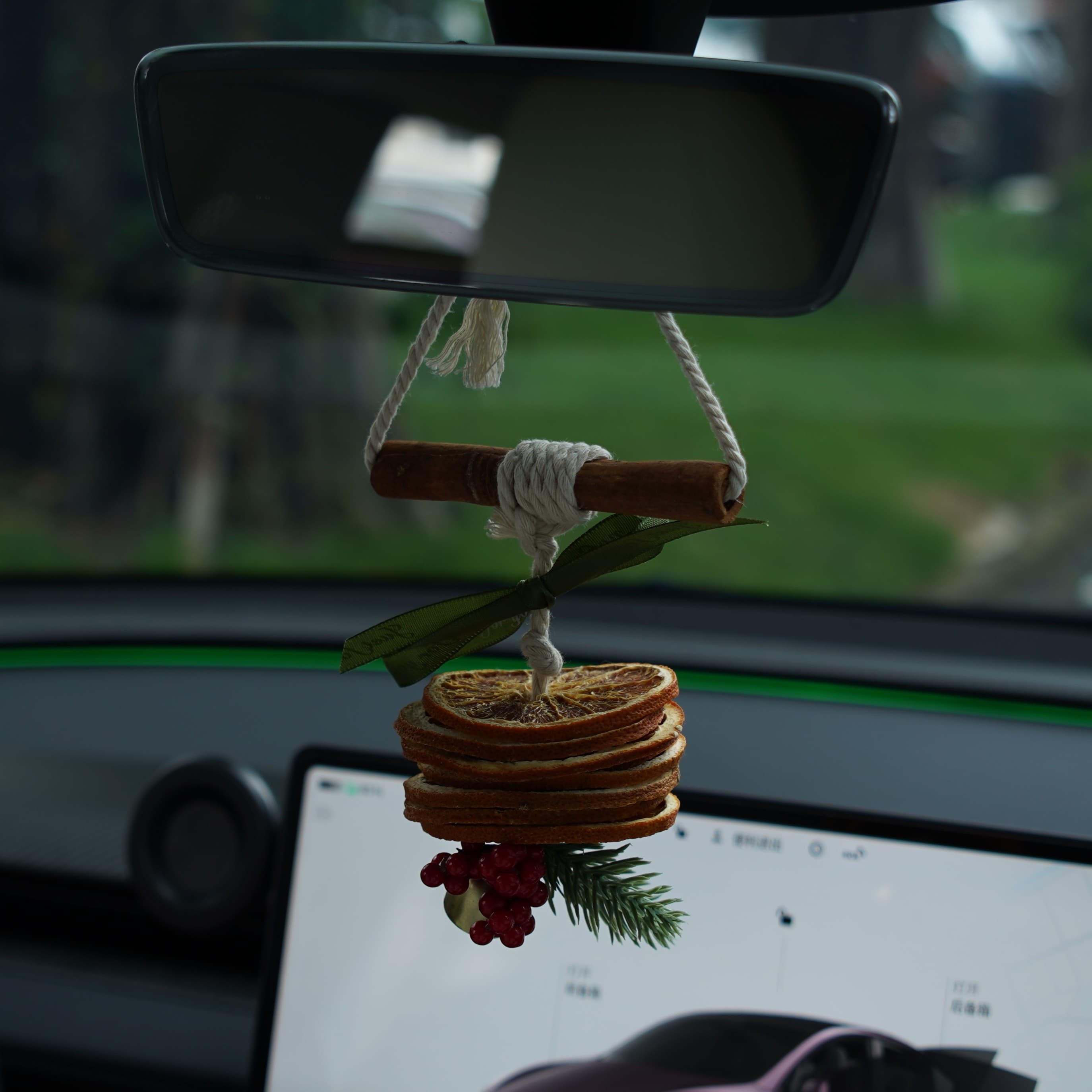 Orange Scent Christmas Ornament for Tesla - Teskay