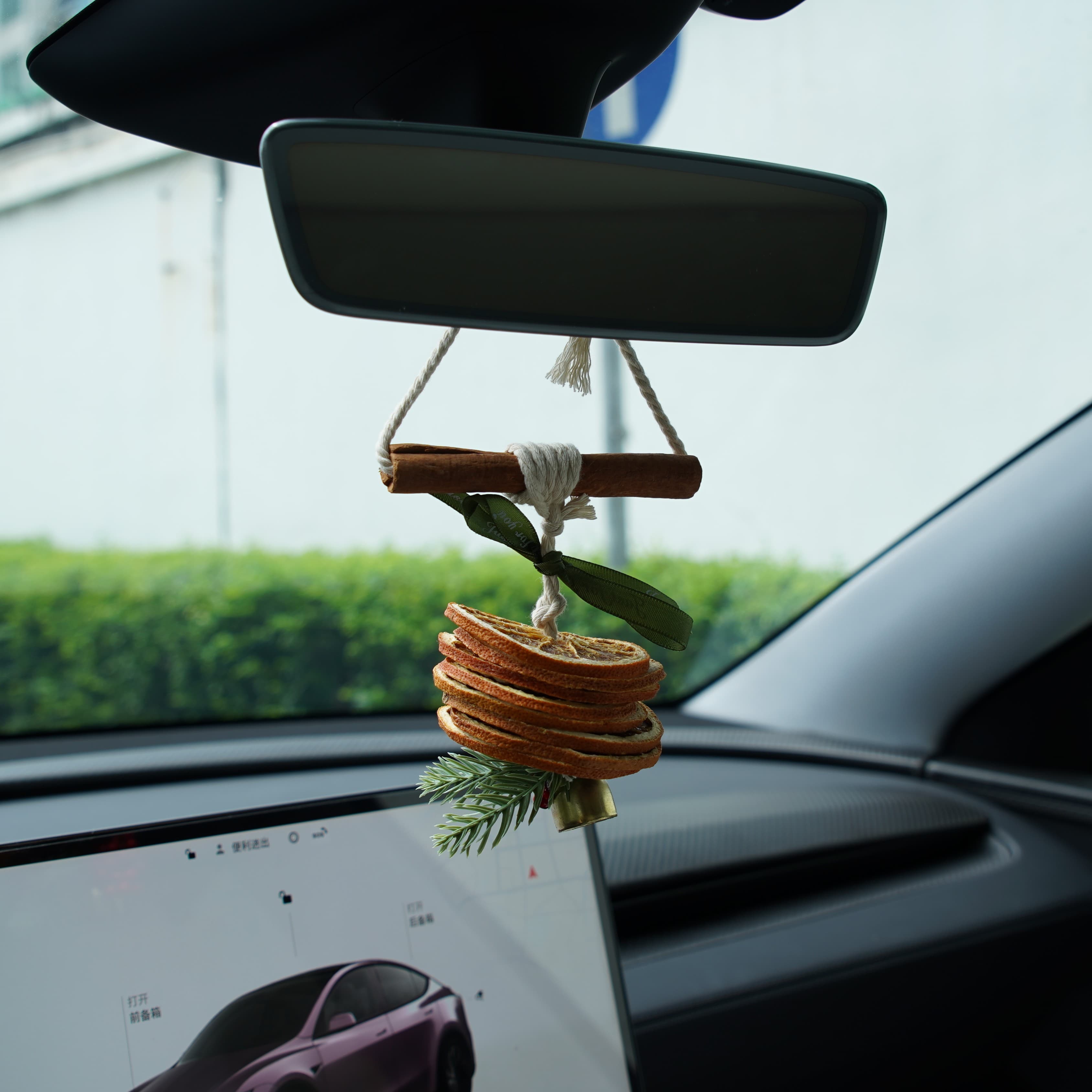 Orange Scent Christmas Ornament for Tesla - Teskay